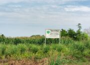 Diduga Puluhan Ha Lahan Sport Centre Milik Dispora Sumut Dikuasi Mafia 